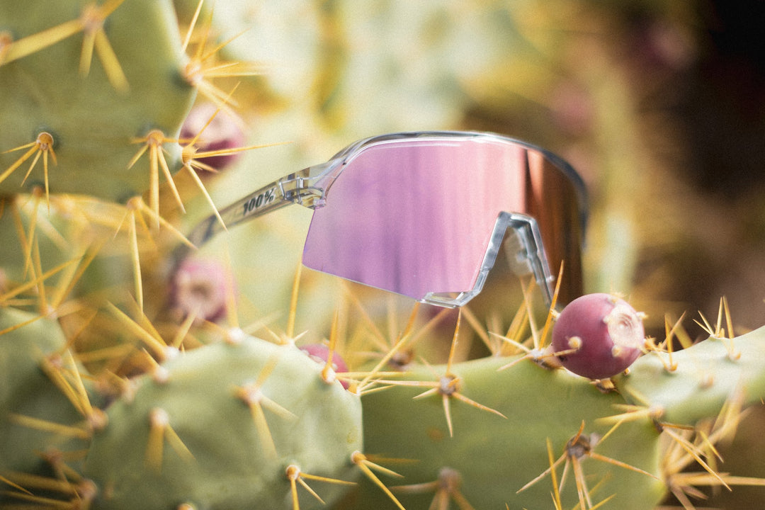 S3  Polished Translucent Grey - Rose Photochromic Lens