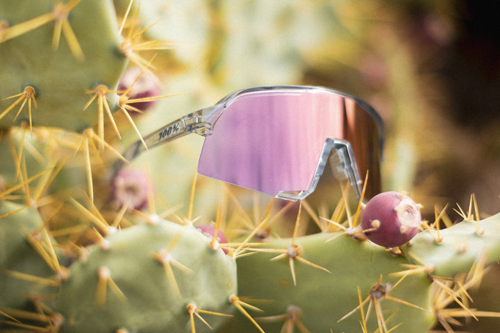 S3  Polished Translucent Grey - Rose Photochromic Lens